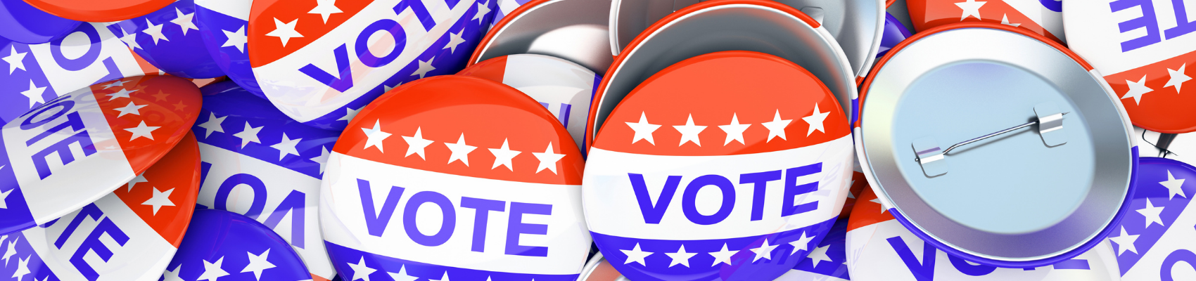 Pace University Alumni Network Election 2020